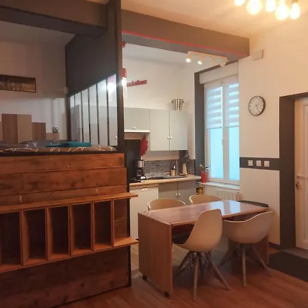 Apartman Premium Proche Arena Roosevelt Centre Gare